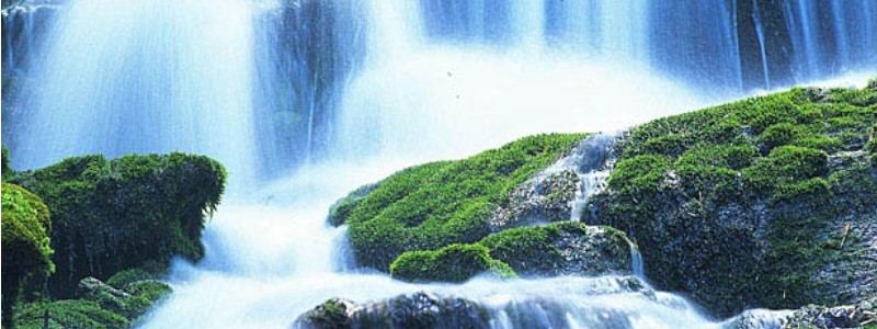 新鮮な豆乳のある生活をあなたに【豆乳くらぶ】情報サイト